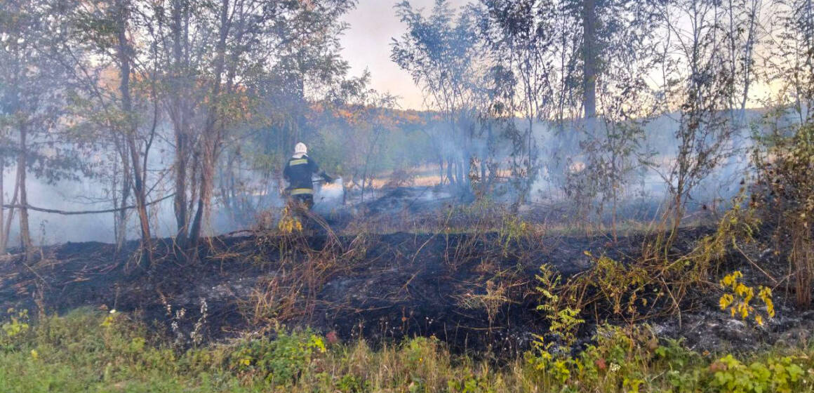 На Вінниччині горіли комбайн, господарча будівля, очерет і фруктові дерева