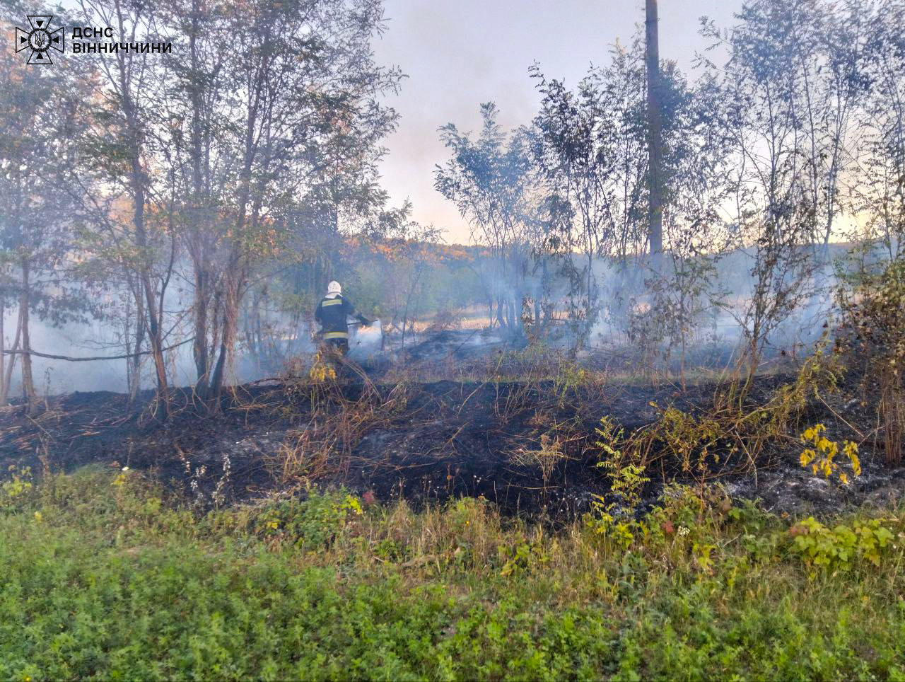 На Вінниччині горіли комбайн, господарча будівля, очерет і фруктові дерева