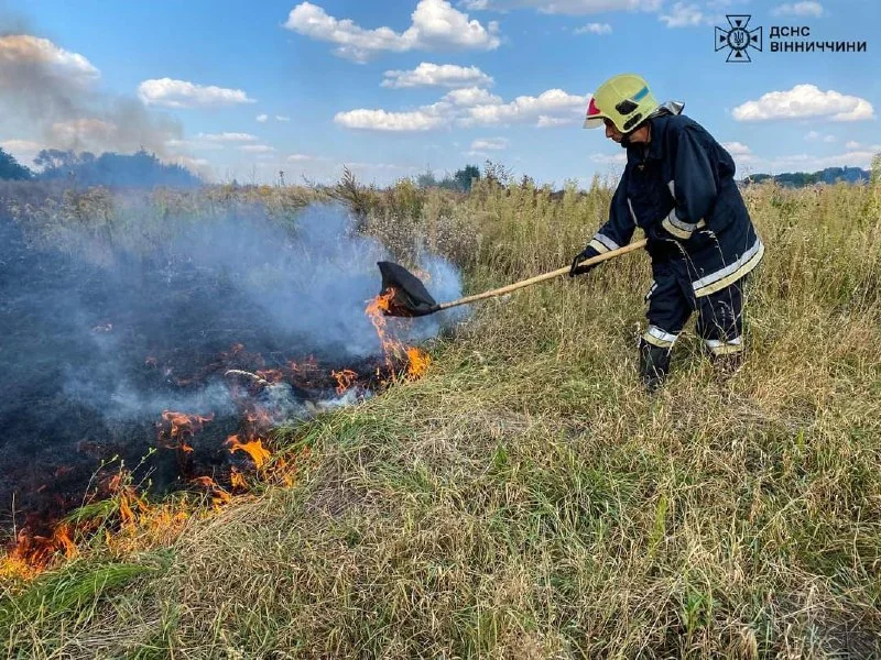 За добу рятувальники Вінниччини ліквідували 35 пожеж в екосистемах