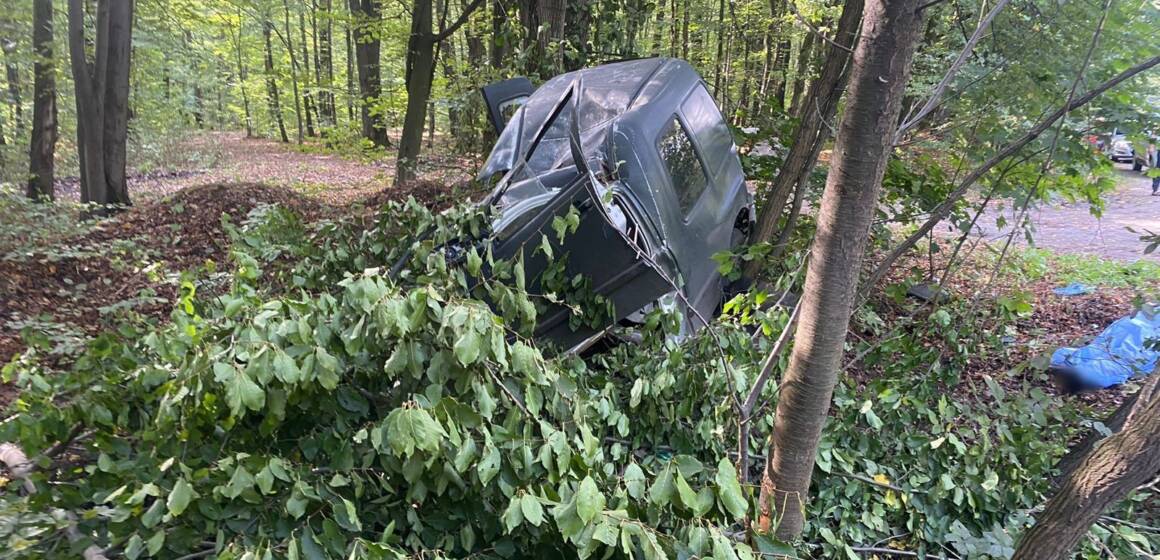 Смертельна ДТП під Жмеринкою: пасажир загинув, водій під підозрою