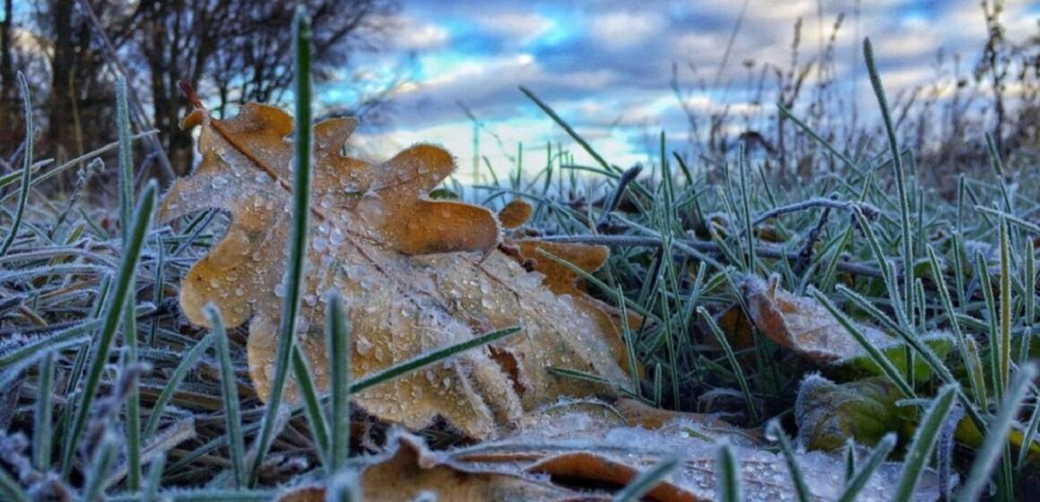 Перші заморозки в Україні можуть бути вже наприкінці вересня