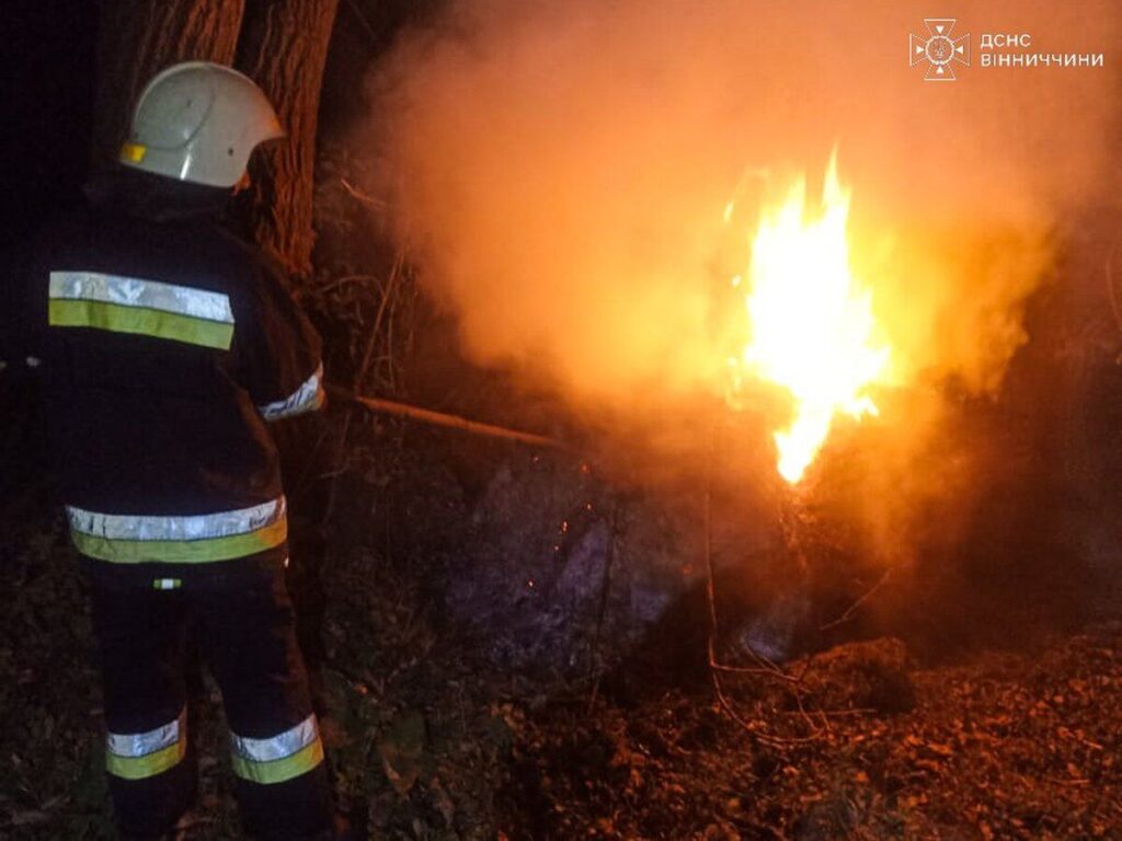 За добу рятувальники Вінниччини ліквідували три пожежі