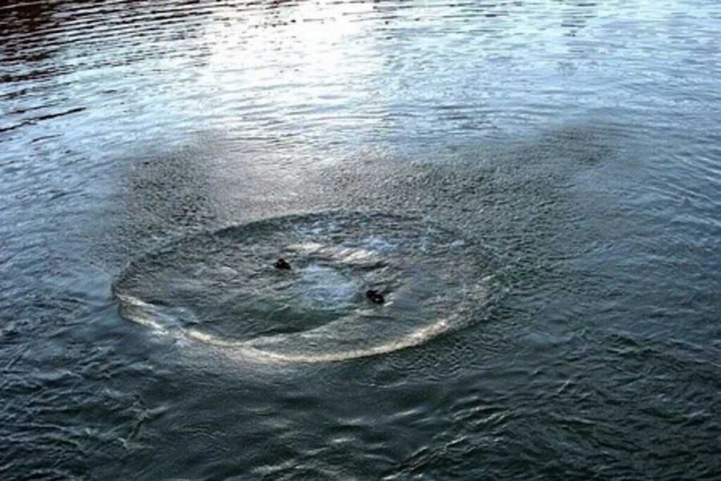У Вінниці рятувальники витягли з водойми потопельника