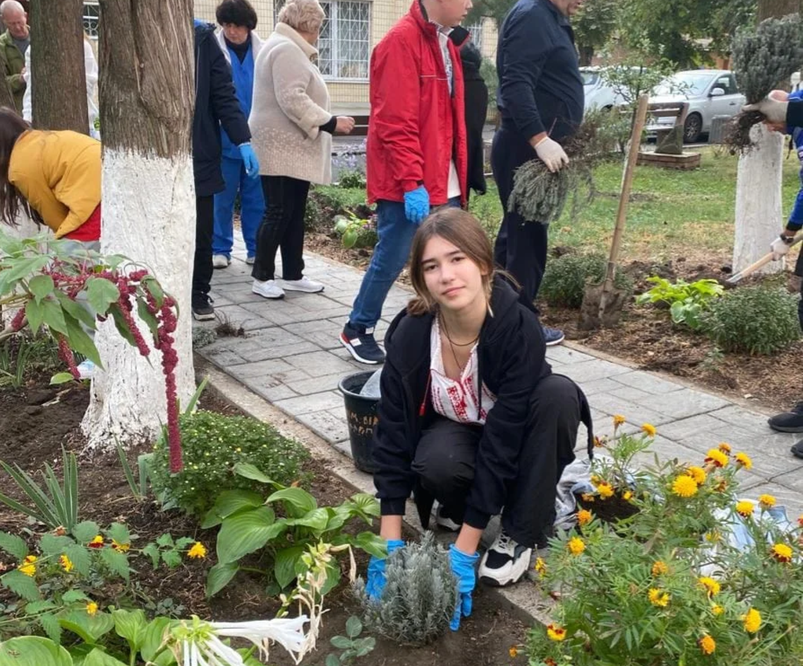 У вінницькому реабілітаційному центрі висадили лавандову алею ( Фото)