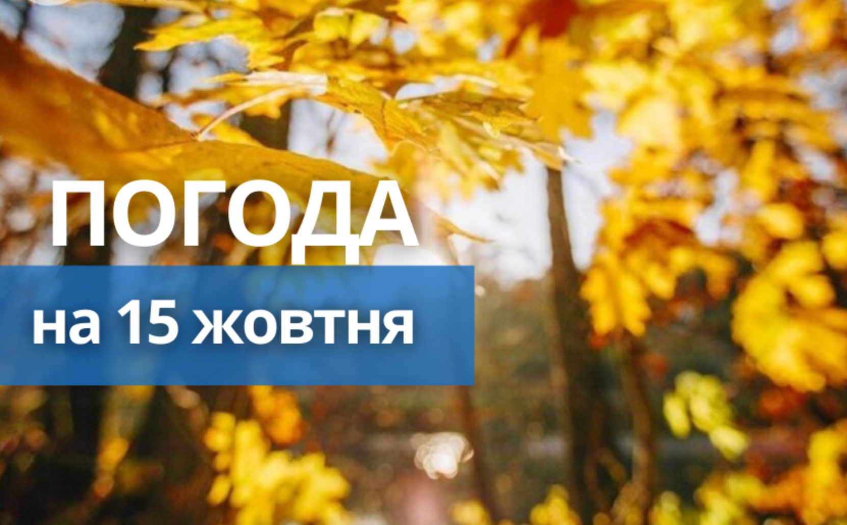 Погода на 15 жовтня – яка температа у Вінниці та області: прогноз синоптиків