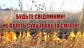 Cпалювання листя та відходів: 15 порушників на яких склали протоколи