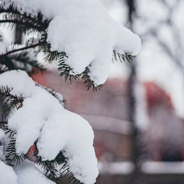 Прогноз погоди на 23 листопада