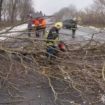 Вінницькі рятувальники прибирали з доріг дерева та відбуксирували “швидку”