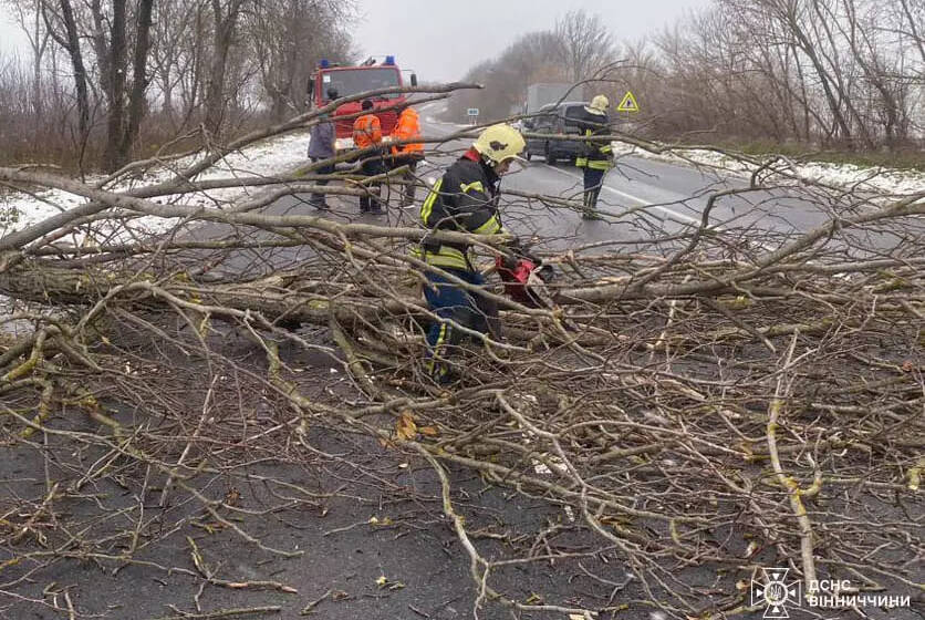 Вінницькі рятувальники прибирали з доріг дерева та відбуксирували “швидку”