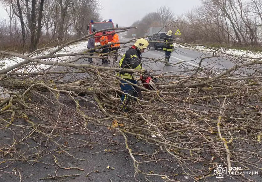 Вінницькі рятувальники прибирали з доріг дерева та відбуксирували “швидку”