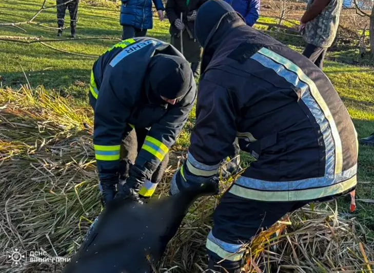 На Вінниччині знайшли тіло 51-річного чоловіка: подробиці