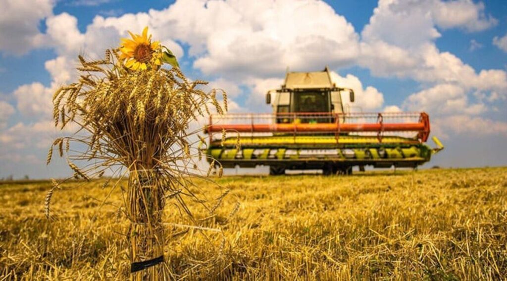 Аграрії Вінниччини завершили збирання сільськогосподарських культур