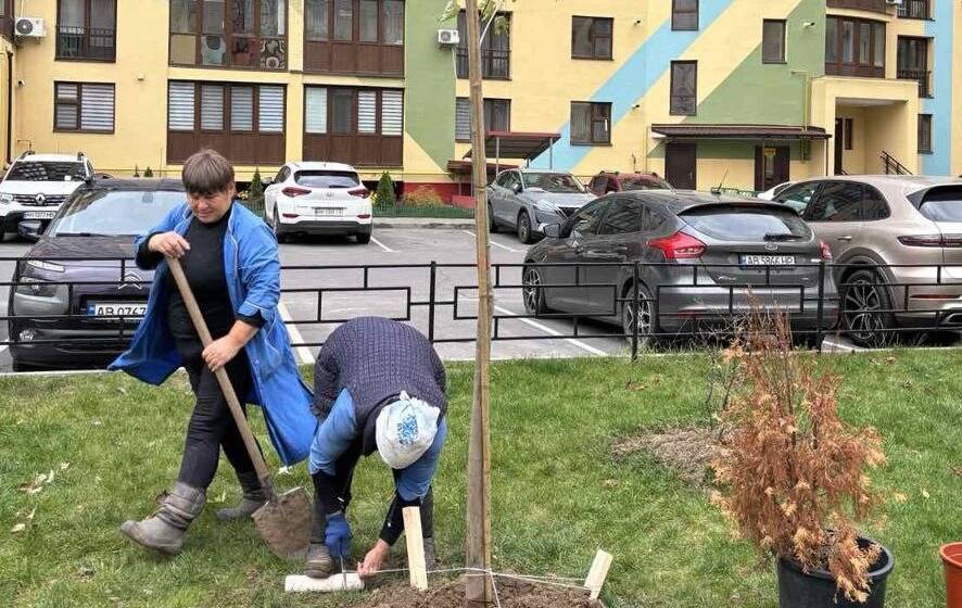 Озеленення Вінниці: пів тисячі саджанців висадили у дворах