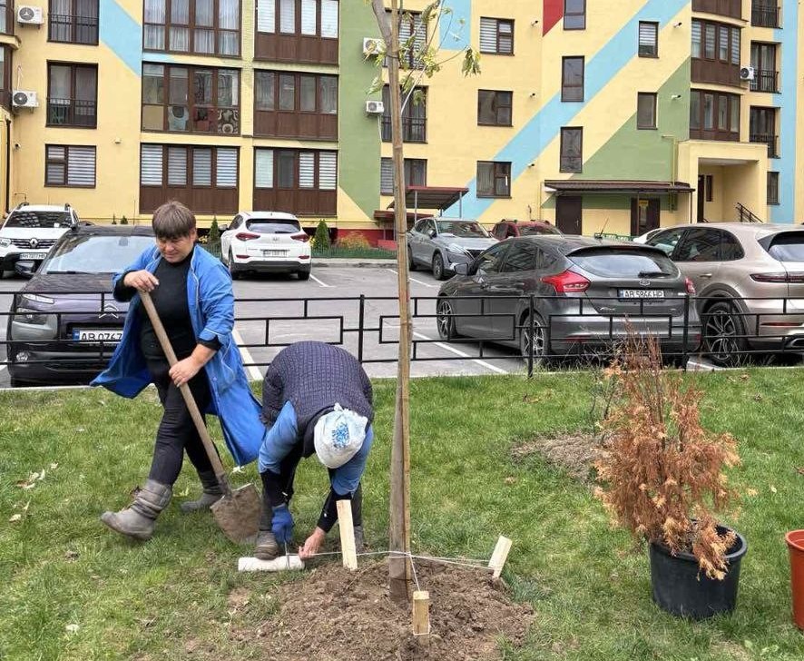 Озеленення Вінниці: пів тисячі саджанців висадили у дворах