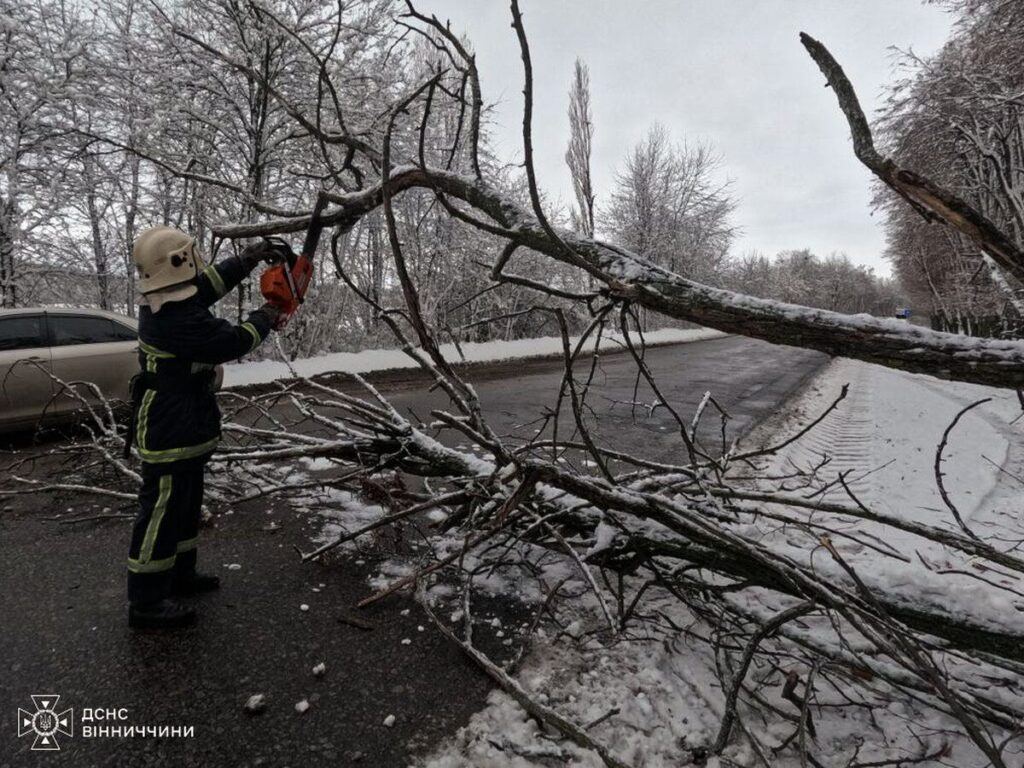Негода на Вінниччині: рятувальники 9 разів допомагали ліквідовувати наслідки
