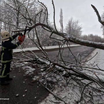 Негода на Вінниччині: рятувальники 9 разів допомагали ліквідовувати наслідки