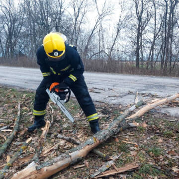 Повалені дерева та зірвана антена: як ДСНС ліквідовує наслідки штормового вітру (Фото)