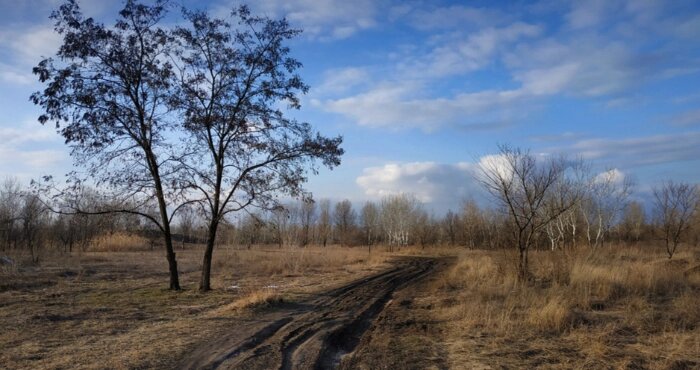 Синоптикиня розповіла, коли прогнозується пік найтеплішої погоди