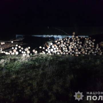 На хабареві у 50 тисяч гривень затримано лісника у Гайсинському районі