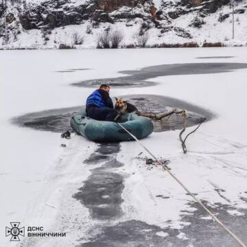 У Вінниці бійці ДСНС врятували собаку