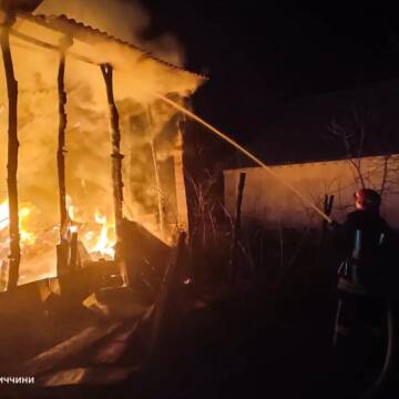 На Вінниччині внаслідок пожеж згоріло десять тонн сіна