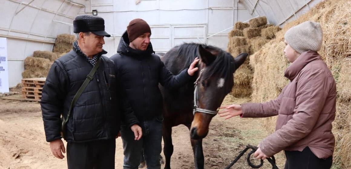 У Ладижині проводитимуть іпотерапію для реабілітації військових