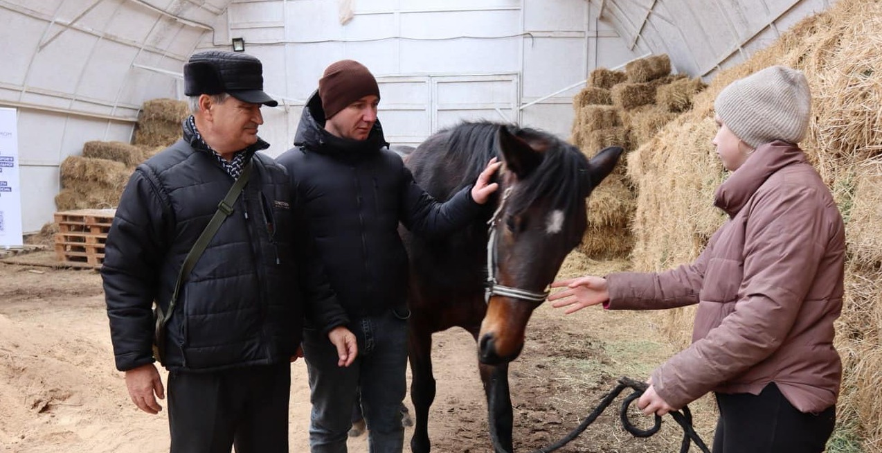 У Ладижині проводитимуть іпотерапію для реабілітації військових