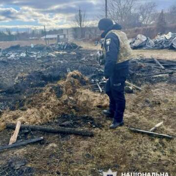 Внаслідок нічної атаки дронів на Київщині загинули понад 40 свійських тварин