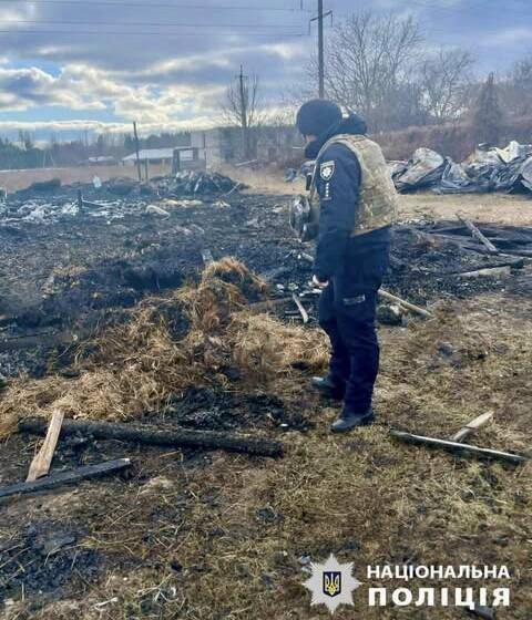 Внаслідок нічної атаки дронів на Київщині загинули понад 40 свійських тварин