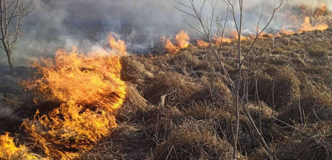 За добу у Вінницькій області сталося 20 пожеж на відкритій місцевості (Фото)