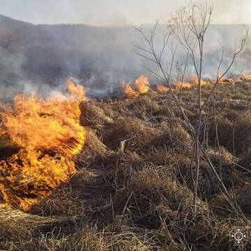 За добу у Вінницькій області сталося 20 пожеж на відкритій місцевості (Фото)