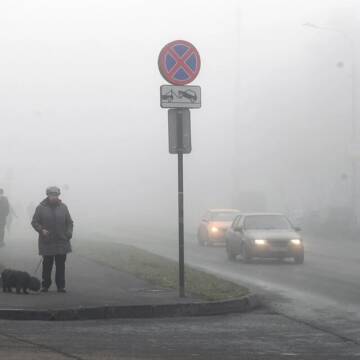 Жовтий рівень небезпеки: на Вінниччині очікується густий туман