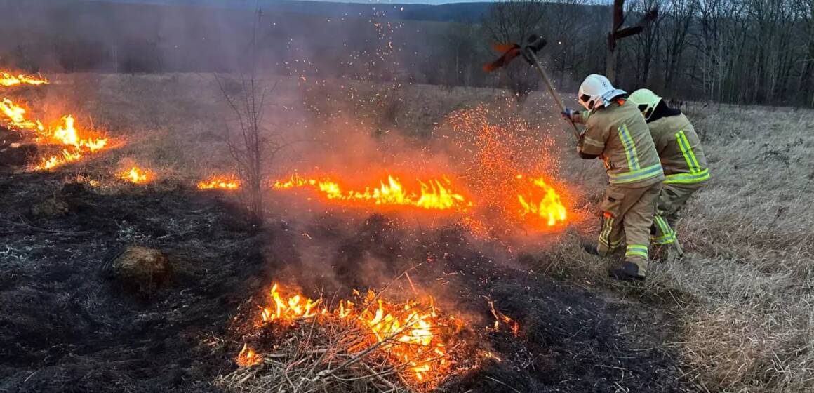 На Вінниччині минулої доби рятувальники загасили 29 пожеж в природних екосистемах