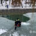 У Вінниці рятувальники витягли з крижаної пастки безпритульного собаку