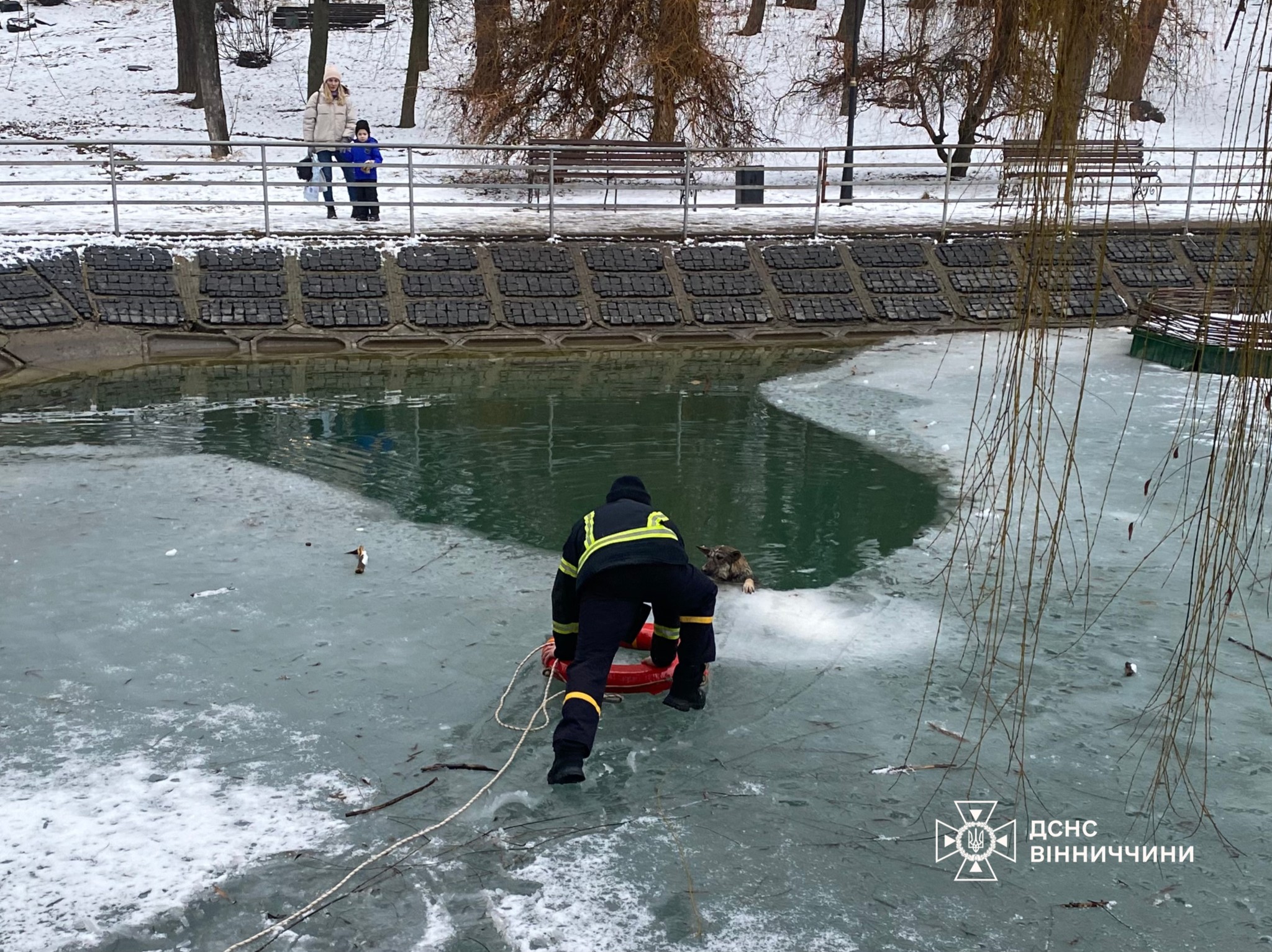 У Вінниці рятувальники витягли з крижаної пастки безпритульного собаку