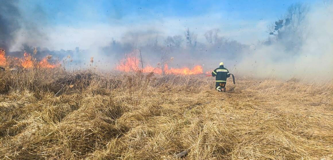 Сім пожеж за добу: вогонь охопив понад 7 гектарів Вінниччини