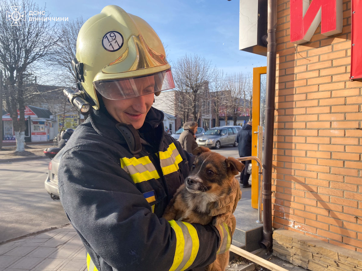 У Калинівці рятувальники визволили цуценя, яке застрягло між щілинами забудов