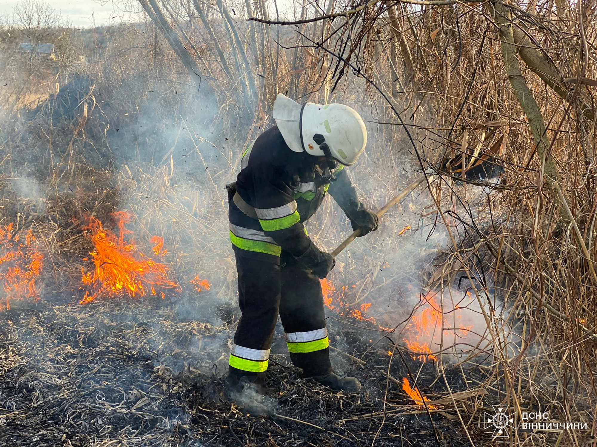 27 пожеж за добу: Вінниччину охопило полум’я в екосистема