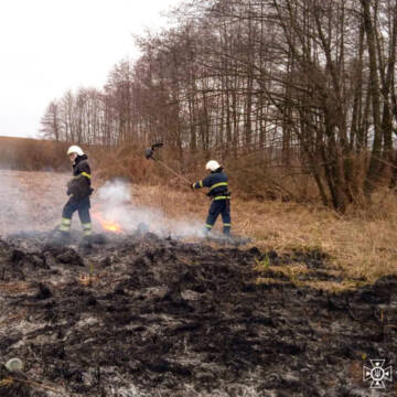 Вогняна доба на Вінниччині: 37 пожеж, більшість – у природних екосистемах