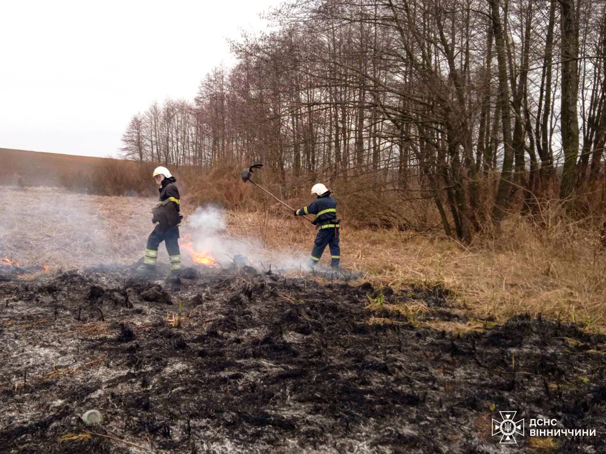 Вогняна доба на Вінниччині: 37 пожеж, більшість – у природних екосистемах