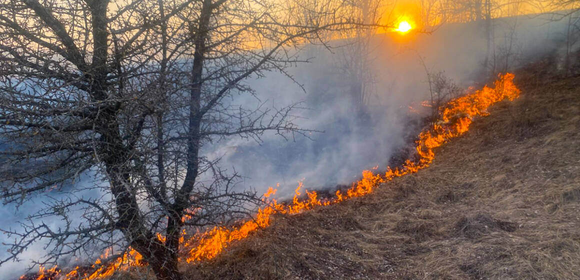 64 пожежі за добу: вогонь охопив понад 57 га екосистем Вінниччини