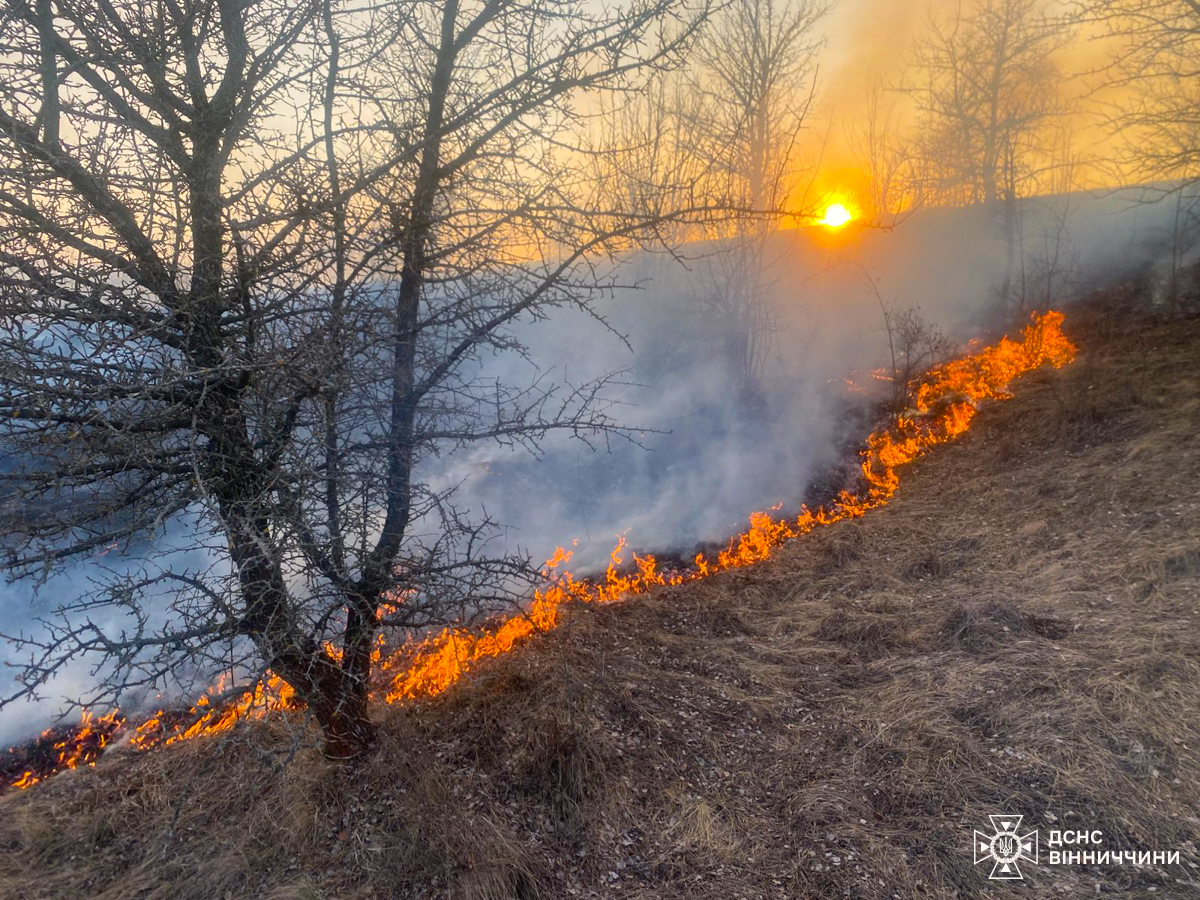 64 пожежі за добу: вогонь охопив понад 57 га екосистем Вінниччини