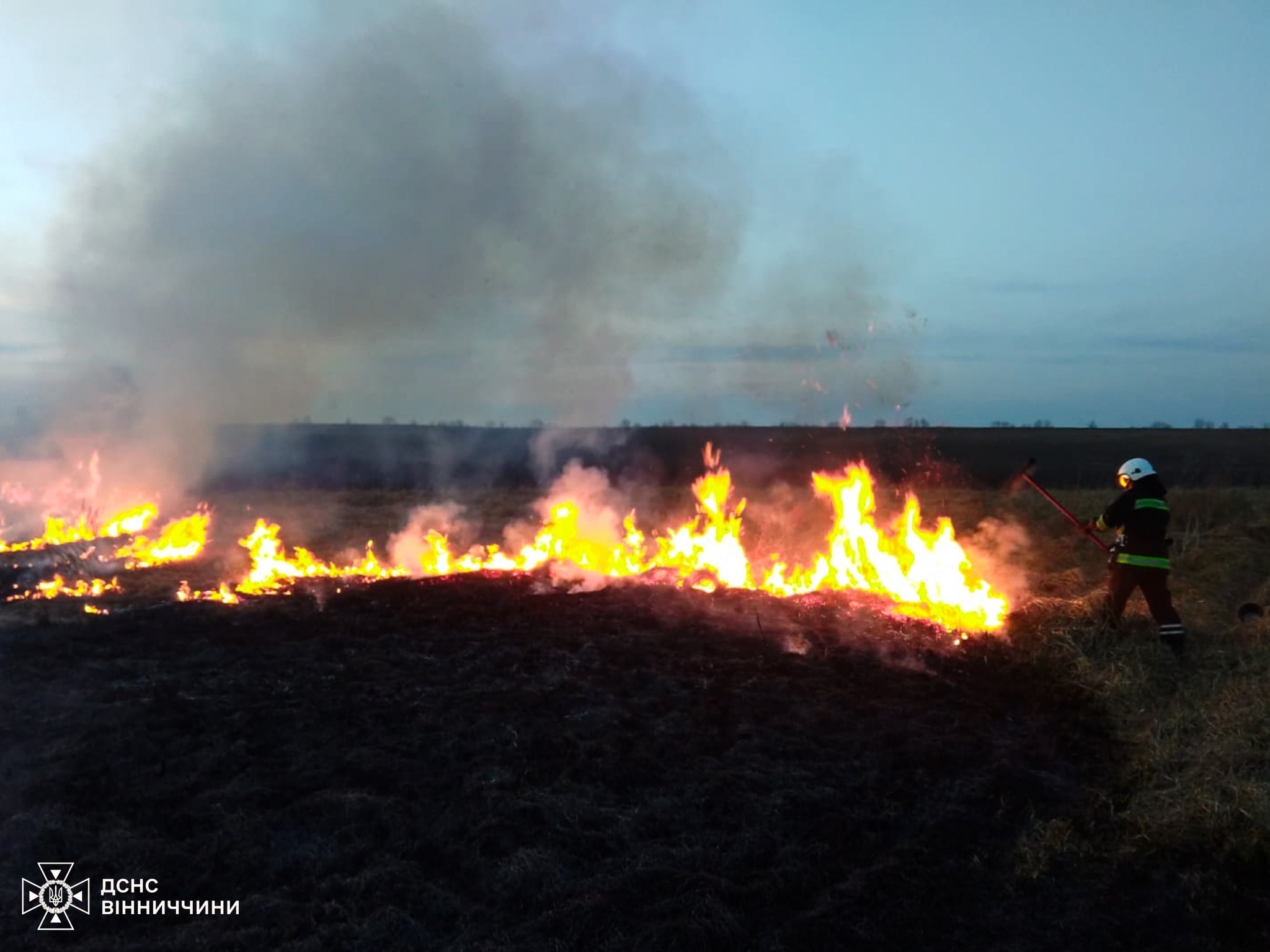 Рекордні 126 пожеж в екосистемах Вінниччини: вогонь нищить природу та загрожує людям