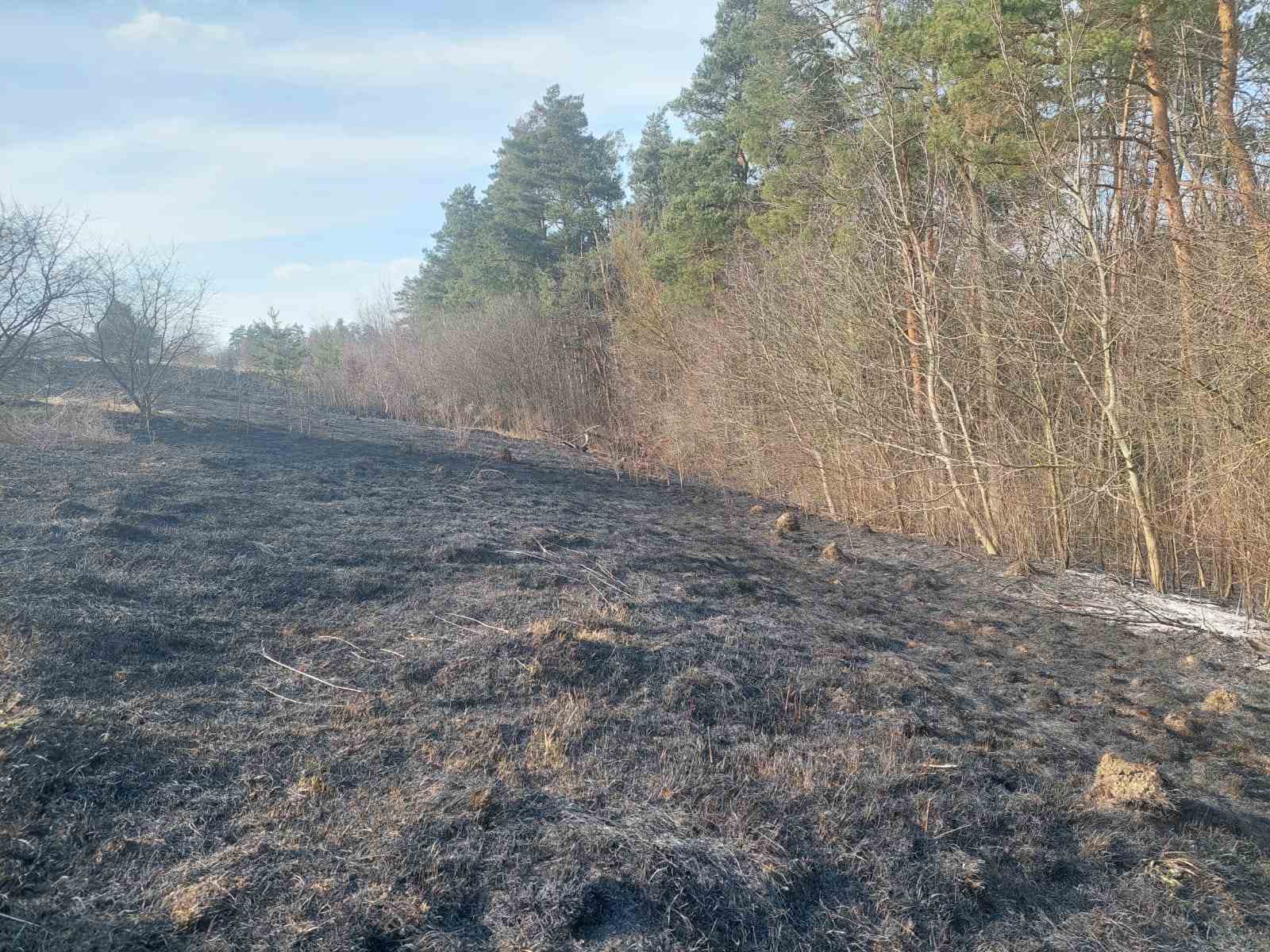 На Вінниччині ледь не згорів ліс через людську недбалість