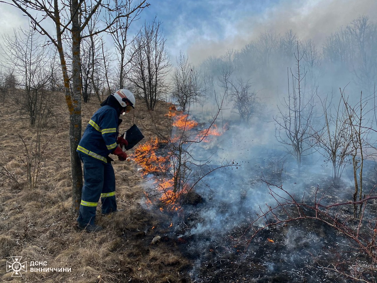 Вогняна небезпека на Вінниччині: 83 пожежі за добу через випалювання сухої рослинності