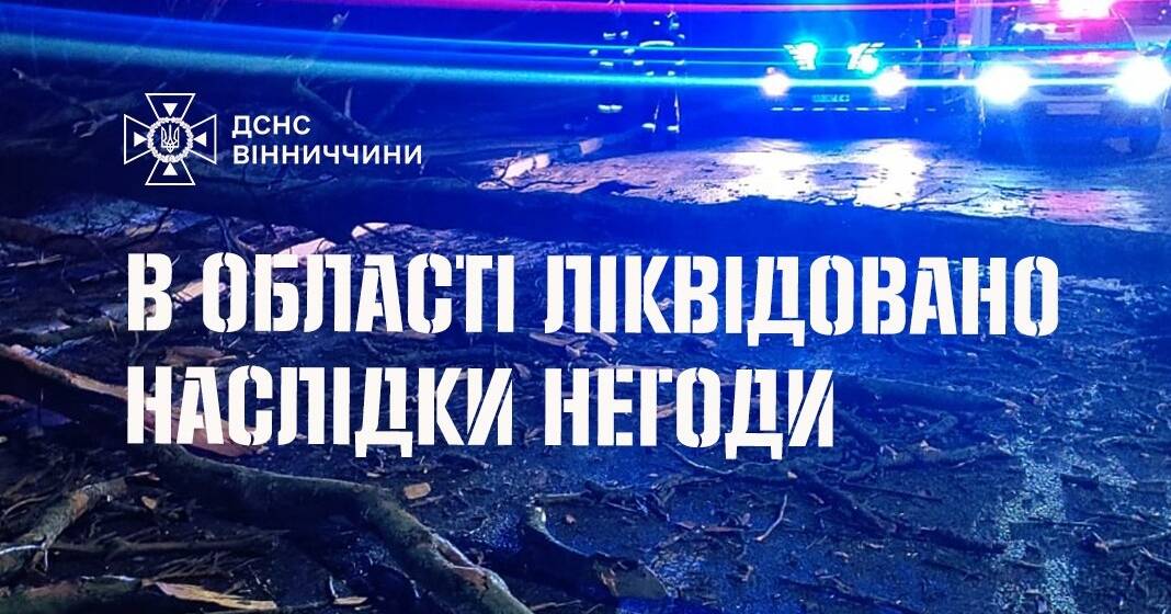 Прибирали повалені дерева: на Вінниччині рятувальники ліквідовували наслідки негоди