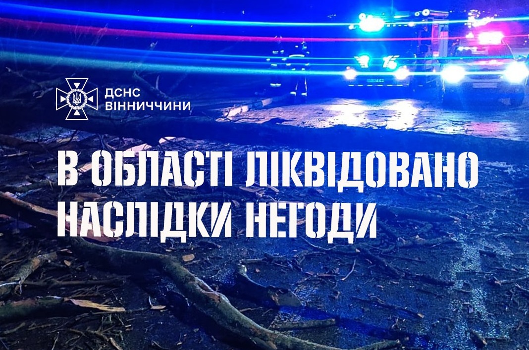 Прибирали повалені дерева: на Вінниччині рятувальники ліквідовували наслідки негоди