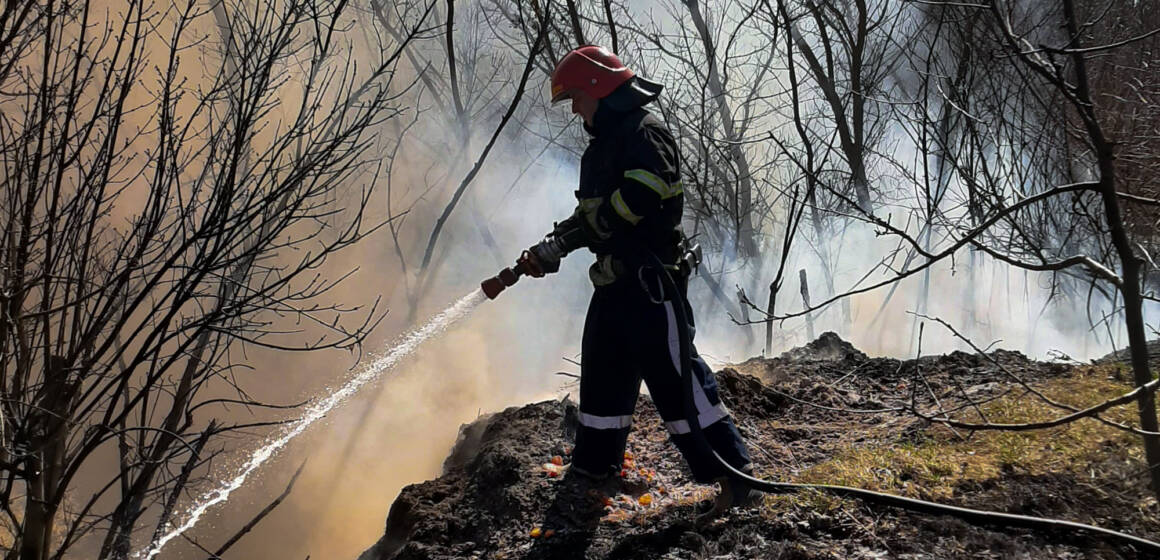 26 пожеж за добу: на Вінниччині горять екосистеми через спалювання трави