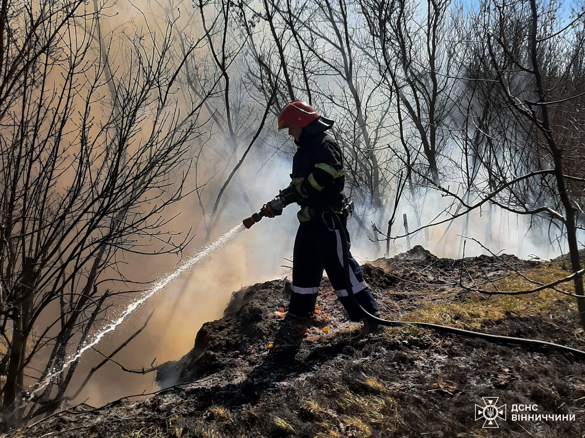 26 пожеж за добу: на Вінниччині горять екосистеми через спалювання трави