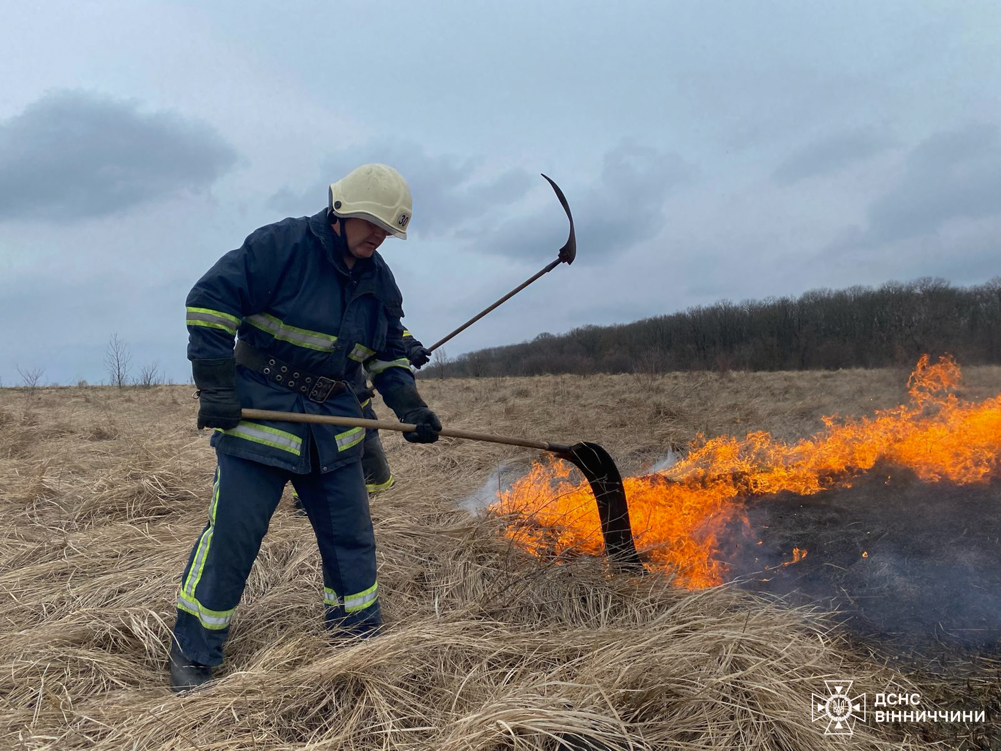 17 пожеж за добу: рятувальники Вінниччини боролися з вогнем у житлових будинках та екосистемах